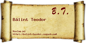Bálint Teodor névjegykártya